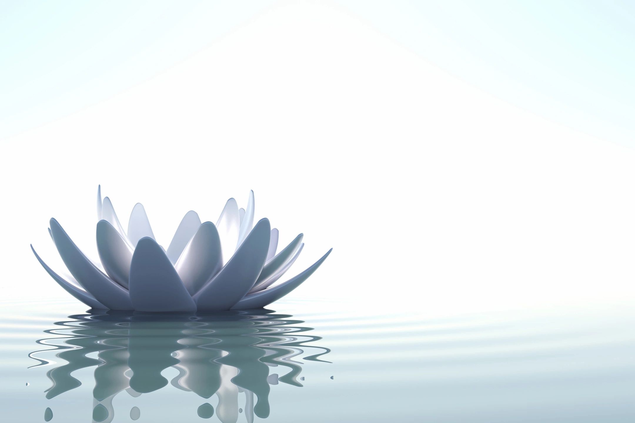 flower on water