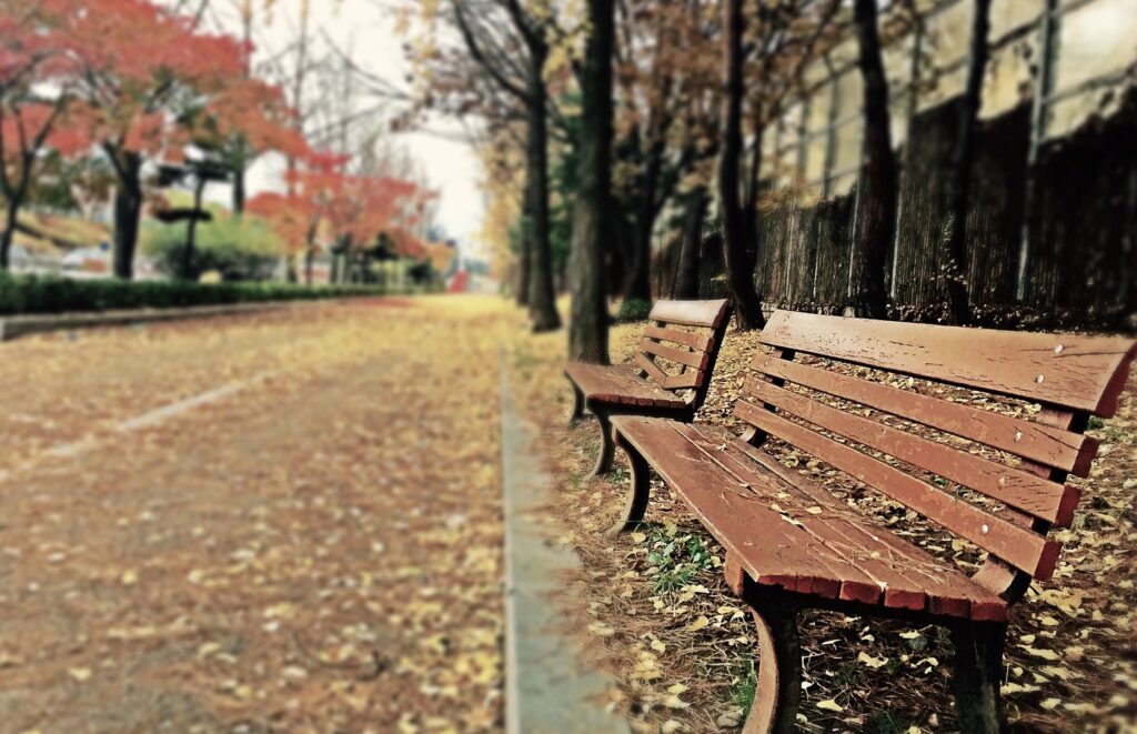 A view down a tree-lined street littered with fallen leaves. Two benches sit in the foreground, offering a calm, relaxing space for community to rest and recharge.